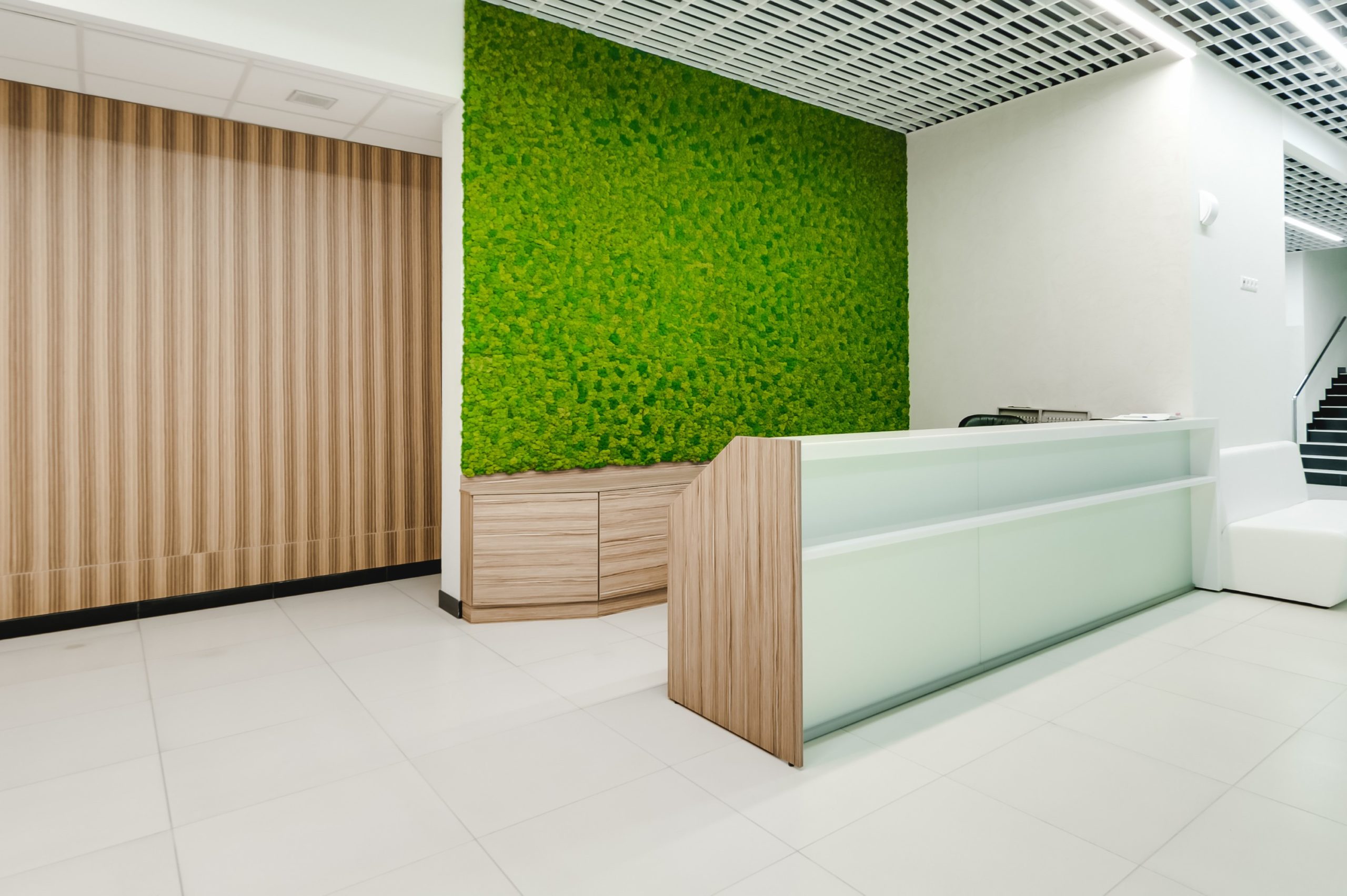 Russia, Novosibirsk - August 16, 2018: decorative moss for interior decoration. office style, interior design elements