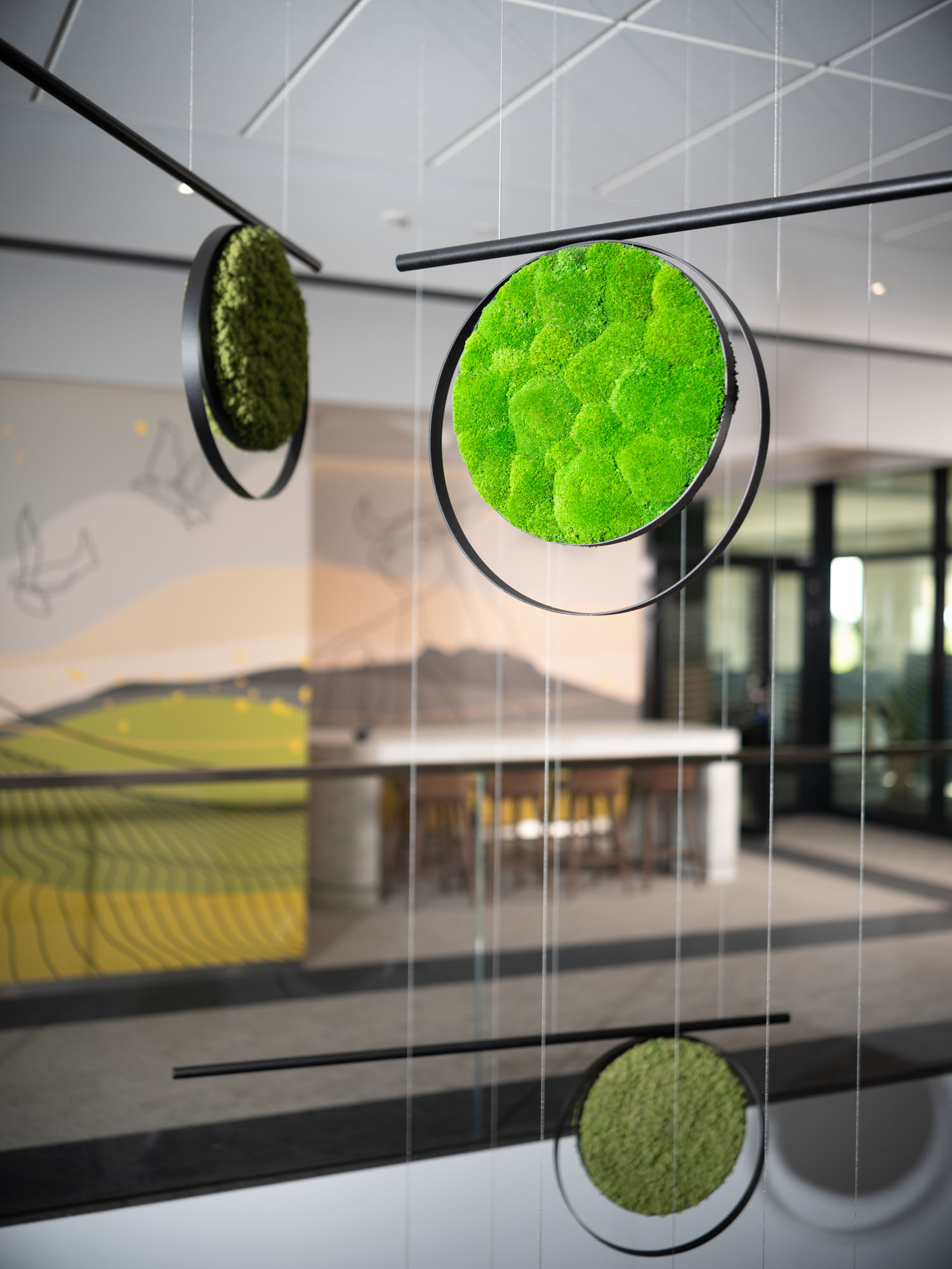 Zakłady Mięsne Zakrzewscy - realizacja w Kosów Lacki - zieleń i grafiki ścienne